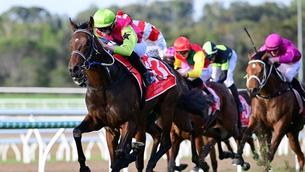 Navigating the Asian Equestrian Betting Scene: A Comprehensive Guide