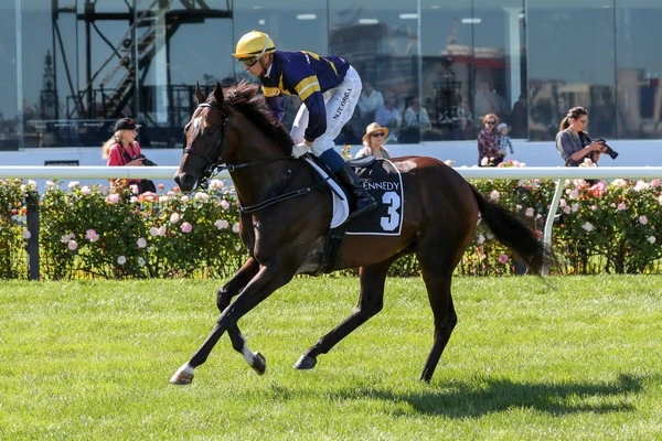 Navigating the Asian Equestrian Betting Scene: A Comprehensive Guide