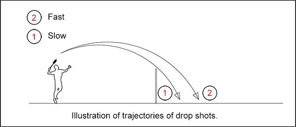 Which insights emerge from tracking Drop Shot Success over sets?