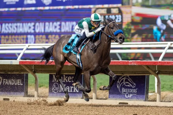 What is the similarity between the winning odds for daily horse racing betting and a round of betting?