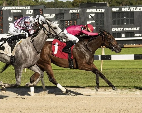 What is the similarity between the winning odds for daily horse racing betting and a round of betting?