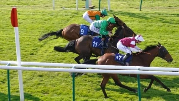 How is the betting market for predicting future contact options in horse racing different from outright winning?