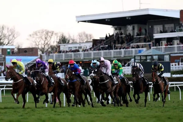 How is the betting market for predicting future contact options in horse racing different from outright winning?