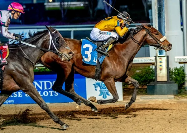 When should you bet on the Champion of Swords market in horse racing?