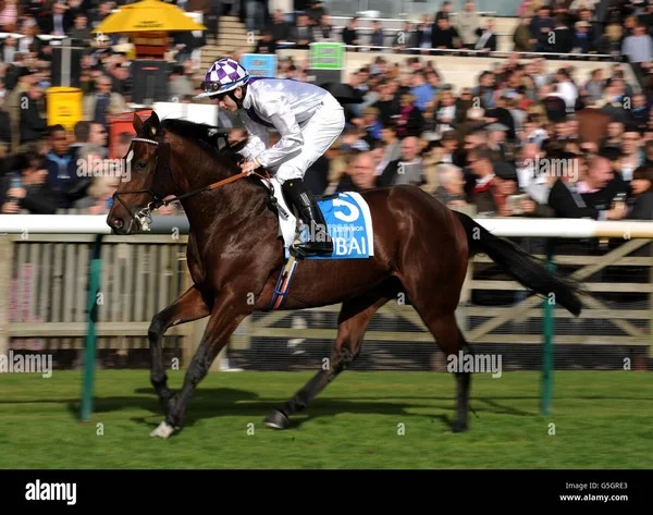 When should you bet on the Champion of Swords market in horse racing?