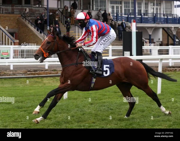 What is the role of form guide competition as a betting method in evaluating horse racing information aids?