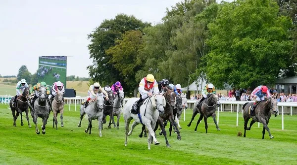 What is the role of form guide competition as a betting method in evaluating horse racing information aids?