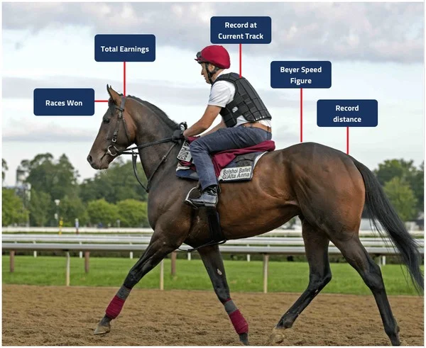 What is the role of form guide competition as a betting method in evaluating horse racing information aids?
