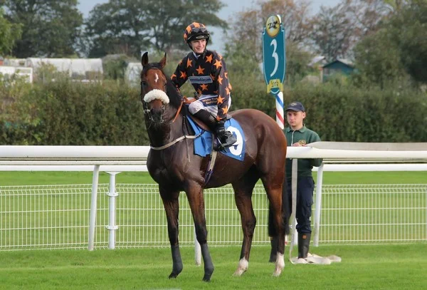 Should you trust horse racing odds comparison tools before placing a bet?